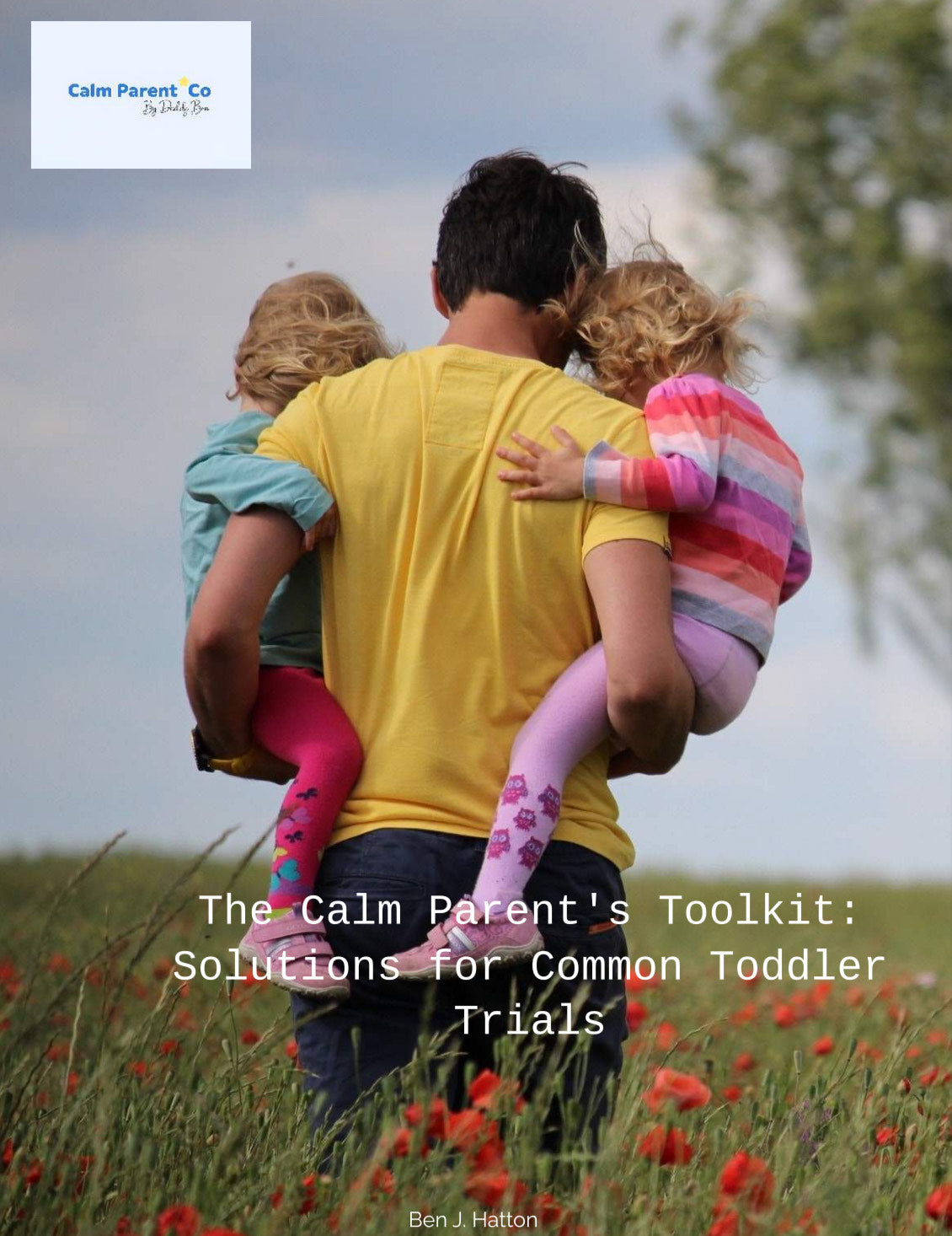 The Calm Parent's Toolkit: Solutions for Common Toddler Trials